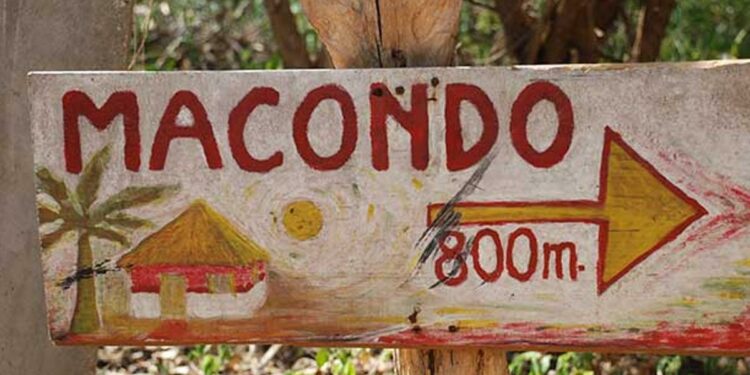 Del libro a la pantalla: Cien Años de Soledad, la obra “inadaptable” que ya es serie