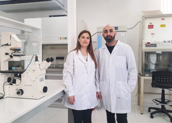 Un extracto de maní bloquea la replicación del dengue