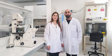 Un extracto de maní bloquea la replicación del dengue