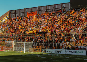 De datos a decisiones: cómo el aprendizaje automático moldea el futuro de las apuestas