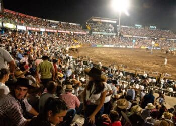 Se aproximan tres noches a puro festejo