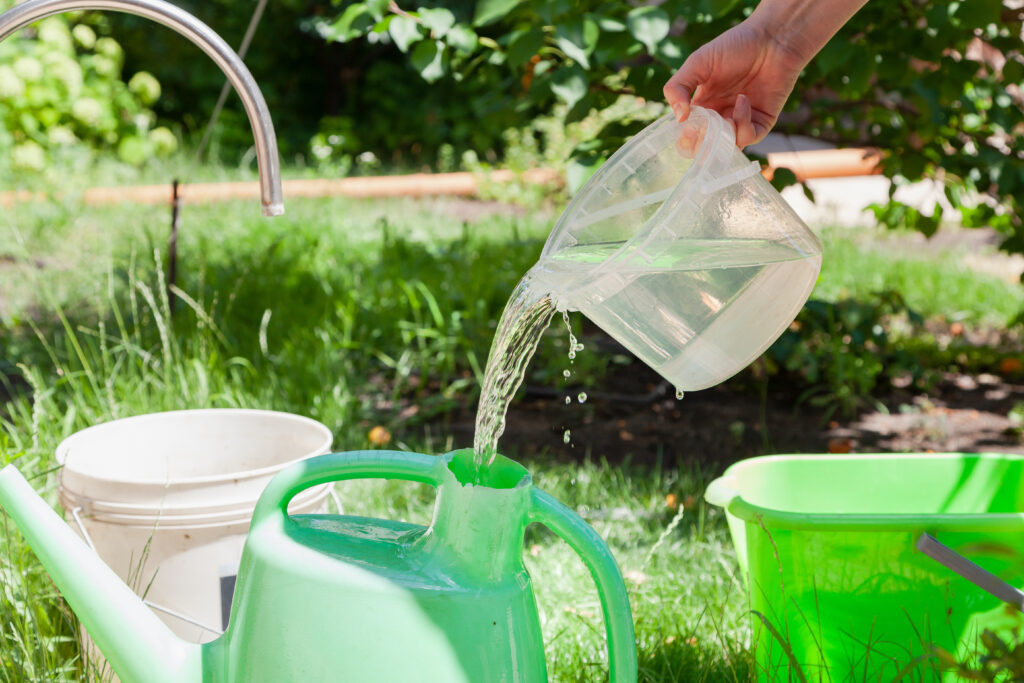 Recomendaciones para cuidar el consumo de agua en verano