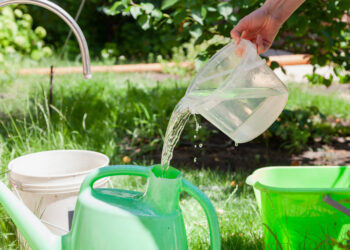 Recomendaciones para cuidar el consumo de agua en verano