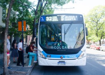 Piden informes sobre nueva firma en el transporte