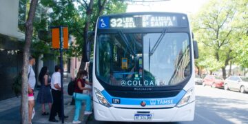 Piden informes sobre nueva firma en el transporte