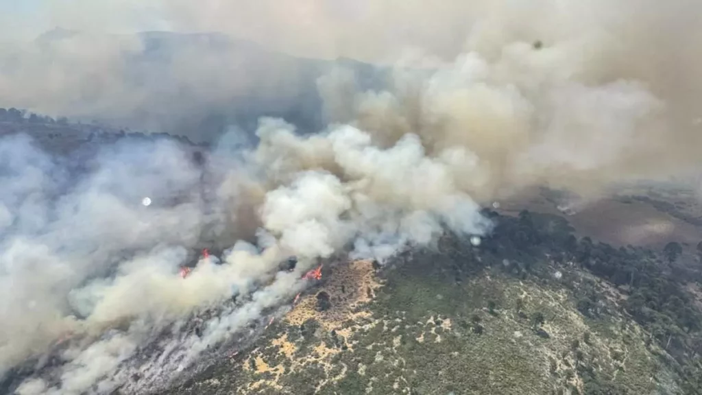 Ingresó al Congreso el proyecto que agrava penas para quienes causen incendios