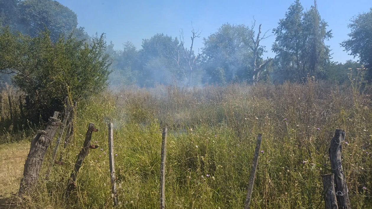 Un hombre de 79 años fue detenido por iniciar un incendio en San Lorenzo Un hombre de 79 años fue detenido por iniciar un incendio en San Lorenzo