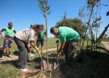 Forestación simultánea en 10 barrios de nuestra ciudad