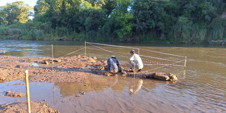 Descubrieron restos fósiles de un gliptodonte en Pampayasta