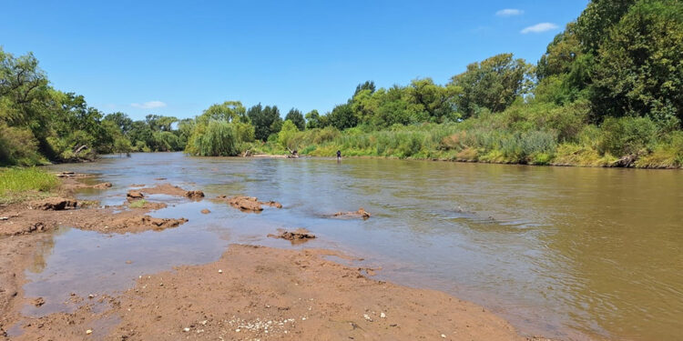 Descubrieron restos fósiles de un gliptodonte en Pampayasta