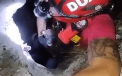 Así rescataron a un cachorro que cayó a un pozo de 10 metros