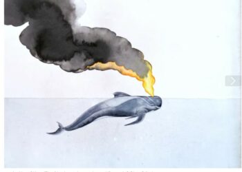 Cambio climático, sin plan(eta) B