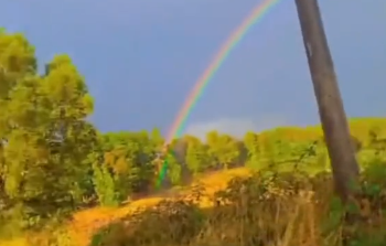 La emoción de una familia al encontrar el final de un arcoíris
