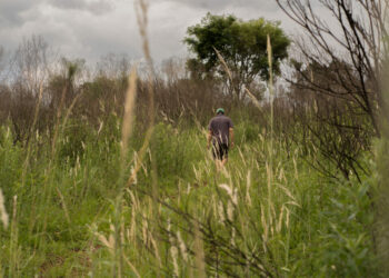 Detrás de la yerba mate, tareferos precarizados