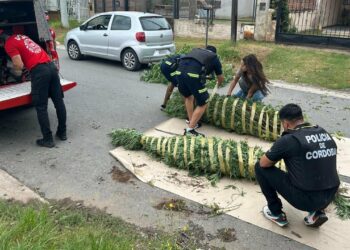 Más de 50 detenidos por múltiples delitos con secuestro de drogas y $ 12 millones