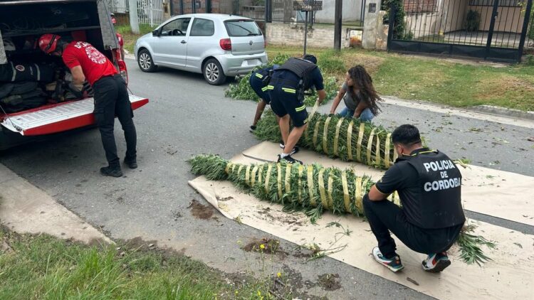 Foto: Policía de Córdoba.