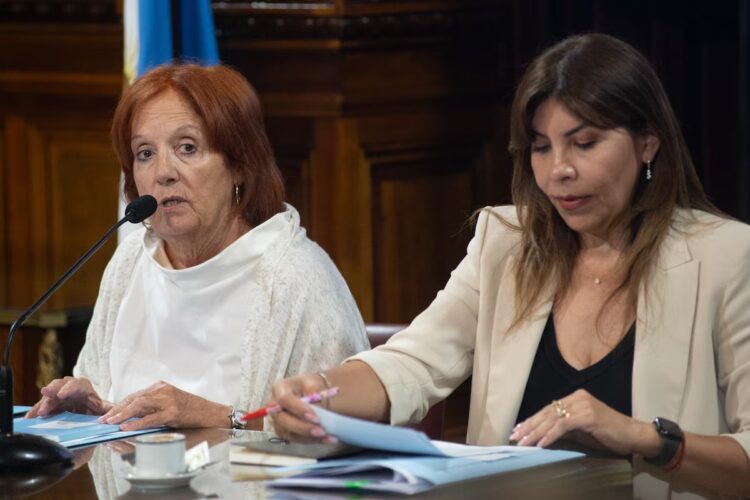 La senadora cordobesa y flamante titular de la comisión de Asuntos Constitucionales, Alejandra Vigo.