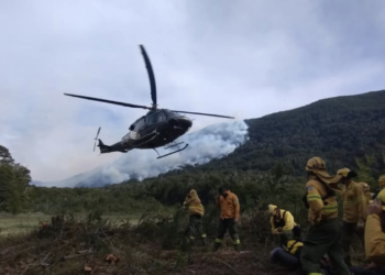 Incendios en la Patagonia: la restauración de los ecosistemas podría llevar más de dos siglos