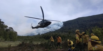 Incendios en la Patagonia: la restauración de los ecosistemas podría llevar más de dos siglos