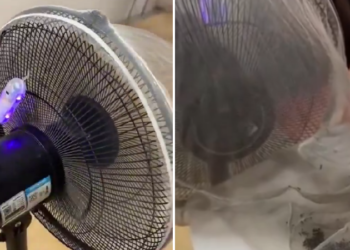 Ingenio chino: convirtió un ventilador en una trampa letal para mosquitos