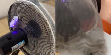 Ingenio chino: convirtió un ventilador en una trampa letal para mosquitos