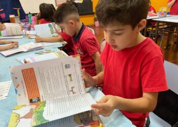 Con diversos enfoques, las provincias definieron sus métodos de alfabetización