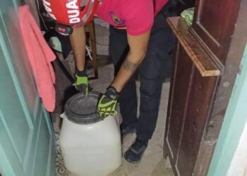 Una serpiente Culebra de Pastizal apareció en un domicilio