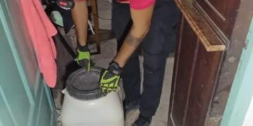 Una serpiente Culebra de Pastizal apareció en un domicilio