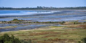 Estudios de fauna nativa en pulmones verdes de Córdoba buscan proteger la biodiversidad