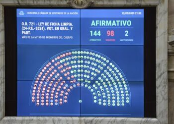 Diputados dio media sanción a la ley de Ficha Limpia