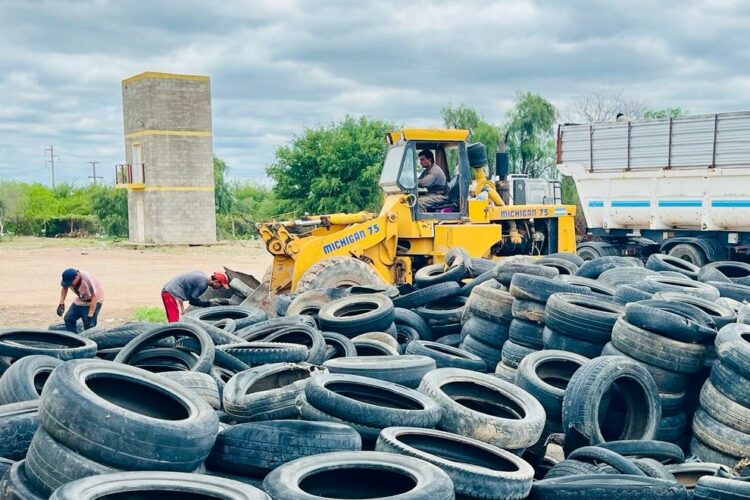 Se trata de una propuesta que contribuye a la prevención de enfermedades que transmite el mosquito y al impulso del reciclaje y la economía circular.