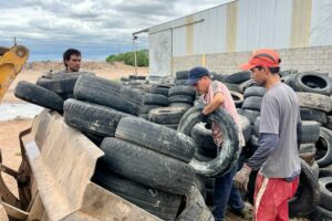 Erradicación de dengue: se retiraron neumáticos en desuso Erradicación de dengue: se retiraron neumáticos en desuso