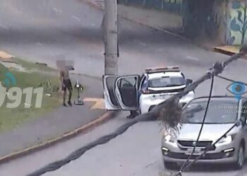 Detuvieron a un menor de 13 años por robar una bordeadora