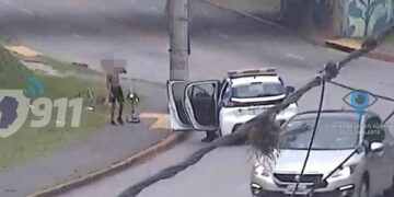 Detuvieron a un menor de 13 años por robar una bordeadora