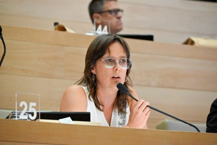 La legisladora provincial de la UCR, Brenda Austin.
