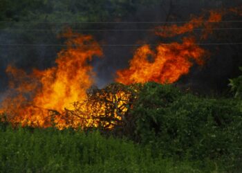 Condenan a 25 días de prisión a un vecino de Nono por causar peligro de incendio