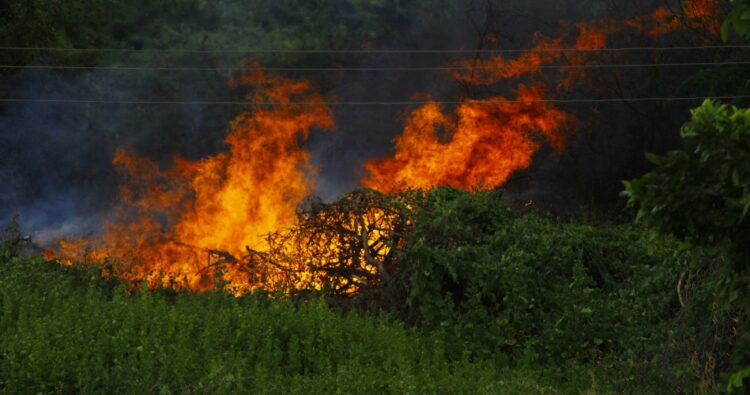 Foto: Justicia de Córdoba.