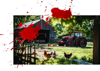 Sinsacate: La matanza de los «Ingalls» cordobeses