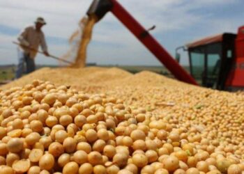 Las exportaciones regionales crecieron 23,8% en dólares y 25,7% en toneladas en 2024