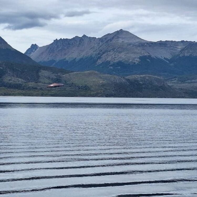 Turistas aseguran haber visto un OVNI en el Canal de Beagle, pero un experto lo puso en duda