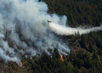 El proyecto del Gobierno para agravar las penas a quienes provoquen incendios