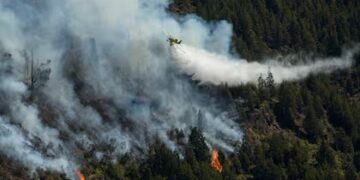 El proyecto del Gobierno para agravar las penas a quienes provoquen incendios
