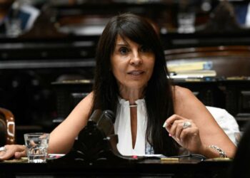 Martín Soria vinculó a una diputada libertaria con una causa de tráfico de drogas en Estados Unidos