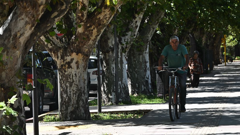 El “Túnel Natural” de Colonia Caroya cumple 110 años: legado histórico y proyección futura