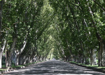 El “Túnel Natural” de Colonia Caroya cumple 110 años: legado histórico y proyección futura