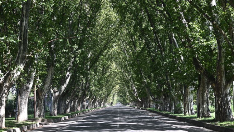 El “Túnel Natural” de Colonia Caroya cumple 110 años: legado histórico y proyección futura