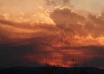 Mujeres protagonistas en la fotogalería