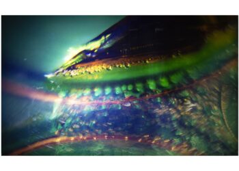 Un siglo de luz y forma en el ojo de Osvaldo Pons