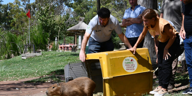 Se liberaron más de 20 ejemplares silvestres en Marull y La Para