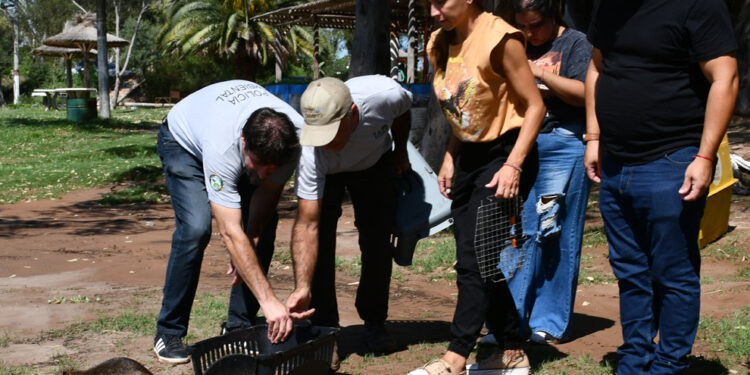 Se liberaron más de 20 ejemplares silvestres en Marull y La Para